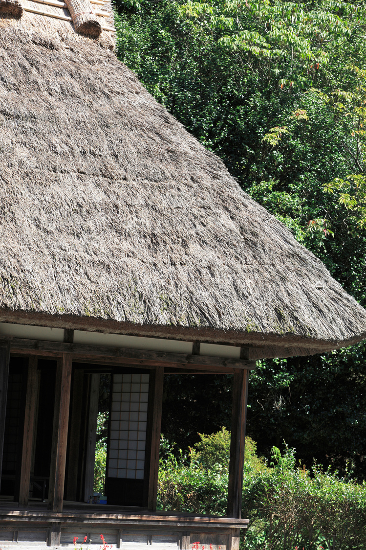 Thatched roof