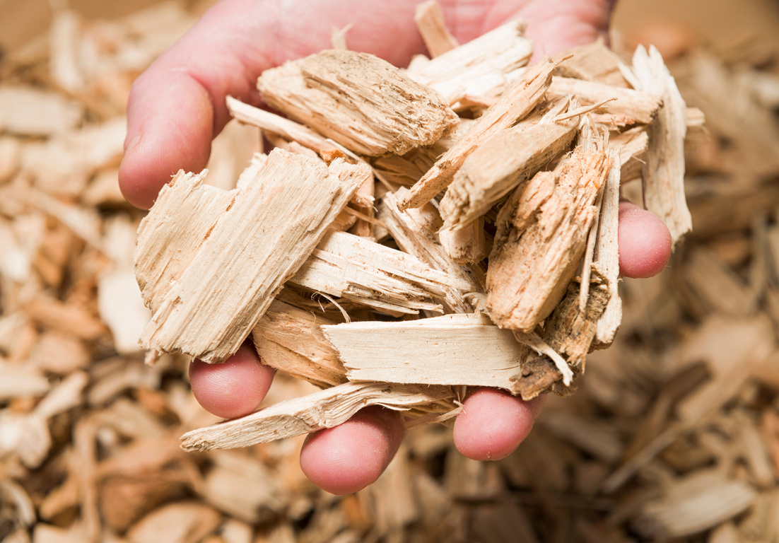 Holding Wood Chips for Biomass Boiler Macro